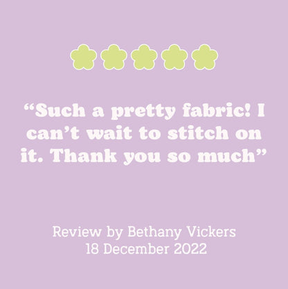 Christmas Eve , (16x11”),  Pastel Blues and Lavenders  cross stitch Aida fabric. 14, 16 & 18 count Aida available